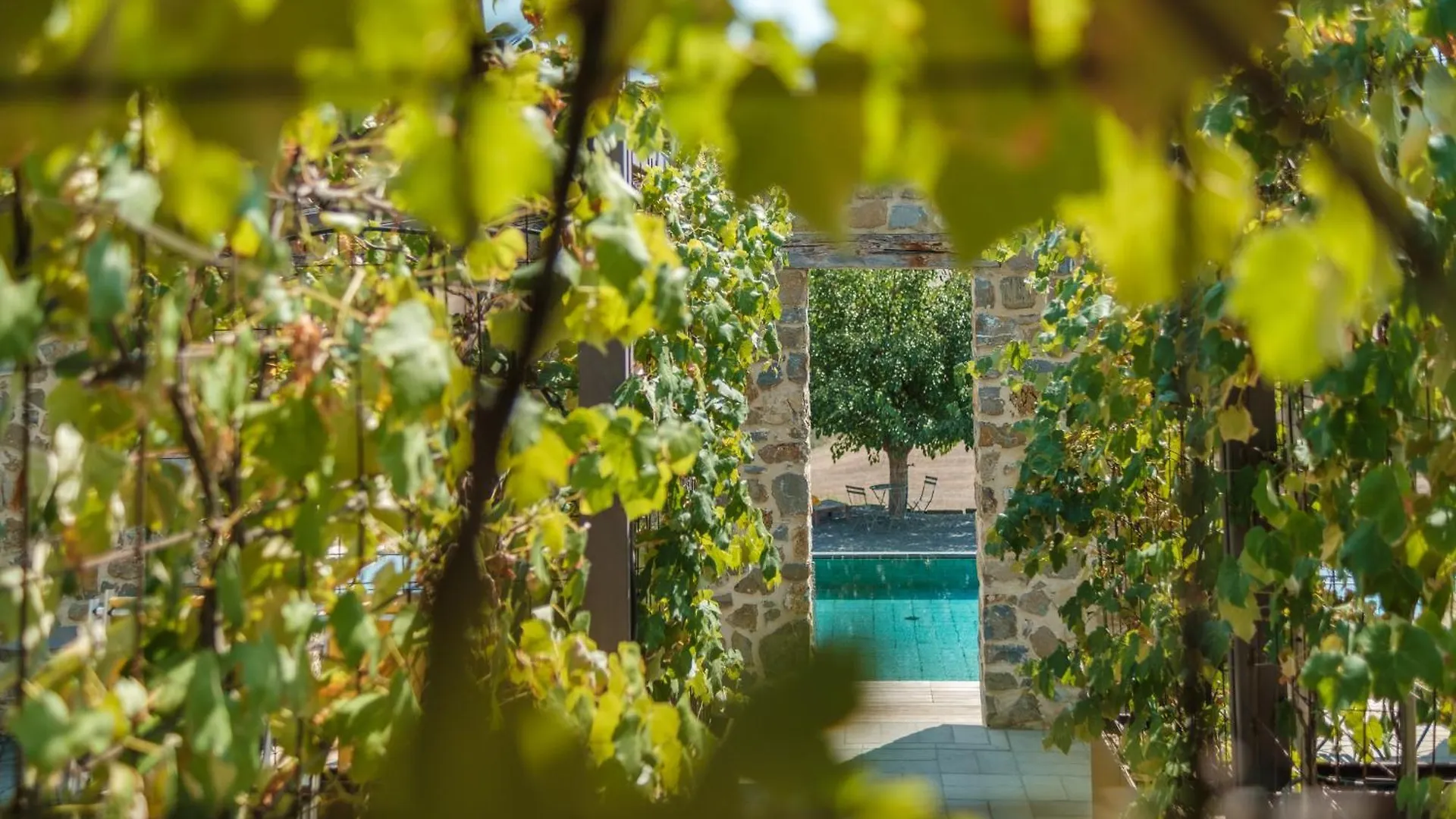 Podere San Pasquale Castiglione d'Orcia Apartment
